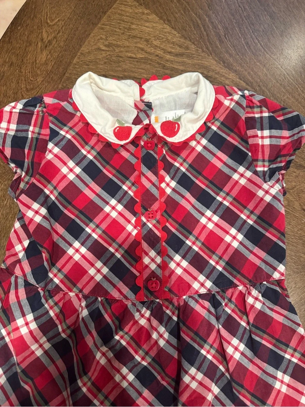 Gymboree Red and Navy Plaid Dress with White Collar